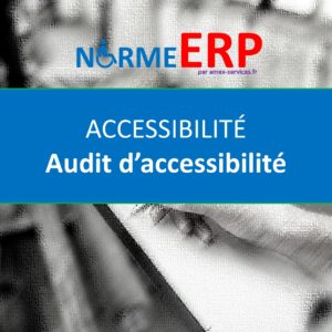 Audit Accessibilité